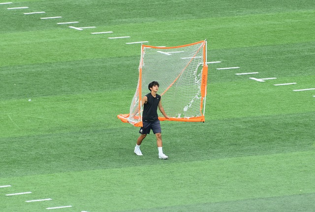 了中医药在