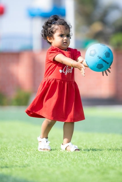 典的案例是 典的案例是