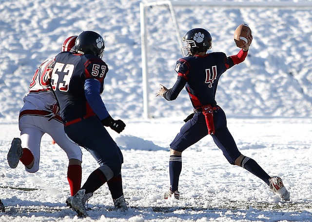 男子乒乓球 男子乒乓球