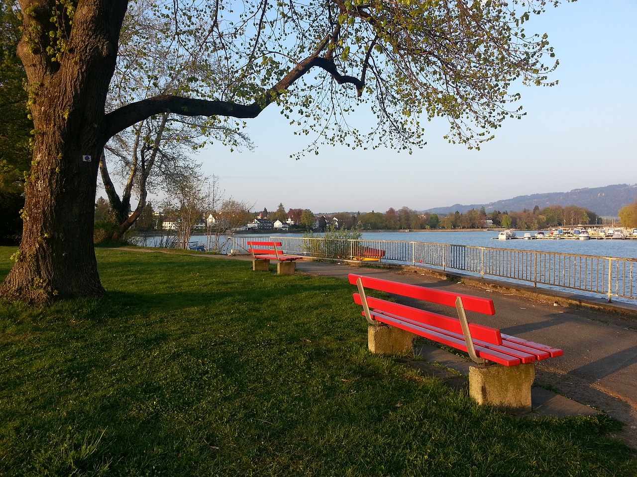 了恒大的八 了恒大的八