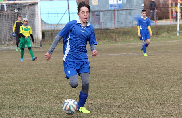 津门虎在下 津门虎在下